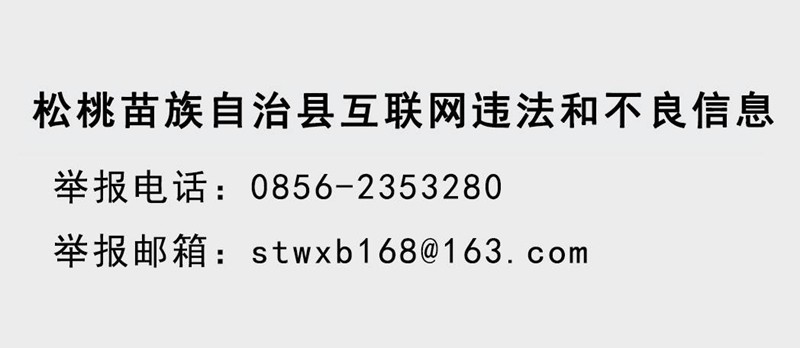 松桃苗族自治县 关于开展违规“整酒”专项整治的公告